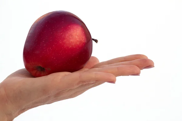 stock image Apple hand female fruit