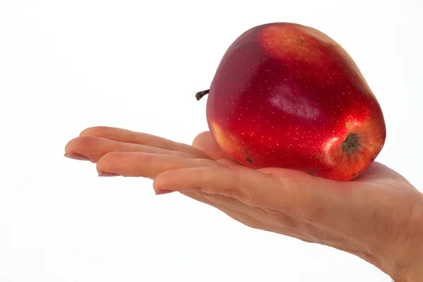 stock image Apple hand female fruit