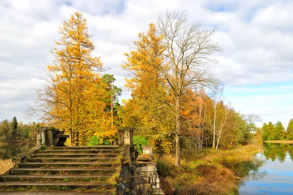 Torchina Park im Herbst. St. petersburg — Stockfoto