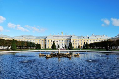 Grand peterhof Sarayı