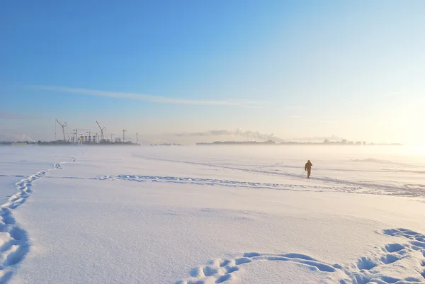 Зимний туман, солнце и лыжник — стоковое фото