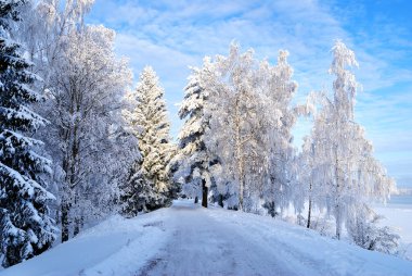 Park kruununpuisto. Imatra, Finlandiya