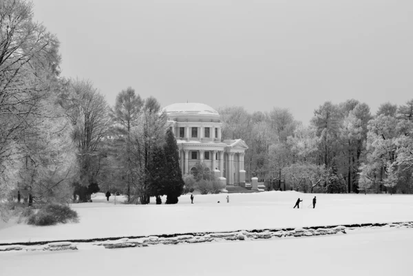 Στο πάρκο χειμώνα — Φωτογραφία Αρχείου