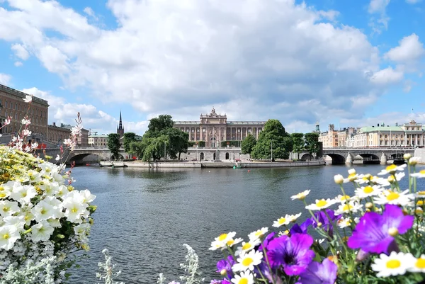 斯德哥尔摩的鲜花 — 图库照片