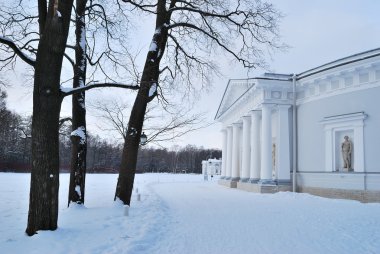 Kış elagin Adası. St. petersburg