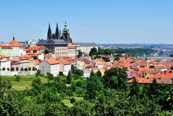 Praha, Mala strana et la cathédrale Saint-Vitus — Photo
