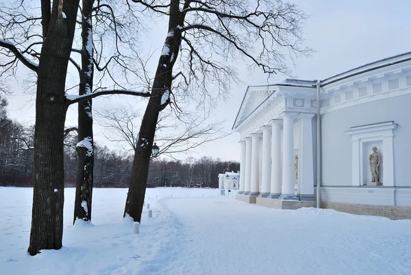 Το χειμώνα στο νησί elagin. Αγία Πετρούπολη — Φωτογραφία Αρχείου