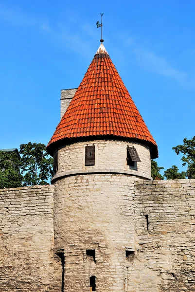 Tallinn, Vyshgorod. Pequena torre fortaleza — Fotografia de Stock