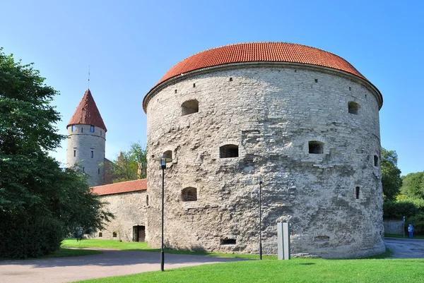 Tallinn, Estonsko. tlustý margaret věž — Stock fotografie
