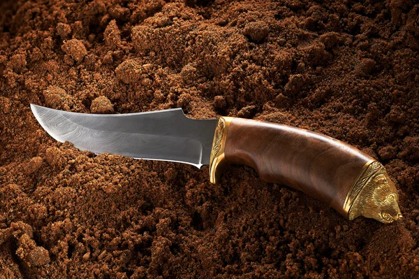 stock image Hunting Knife