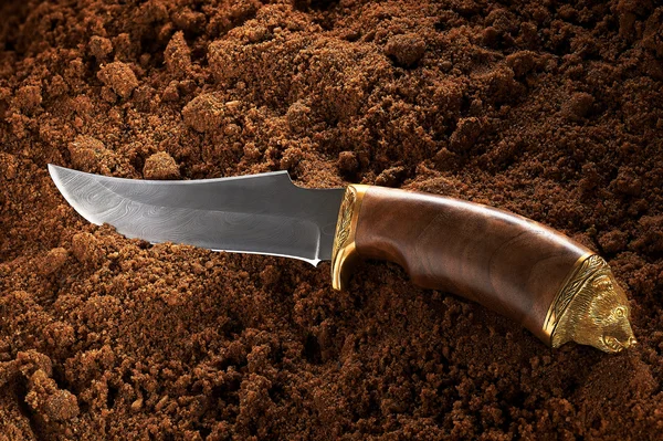 Cuchillo de caza Imagen de stock