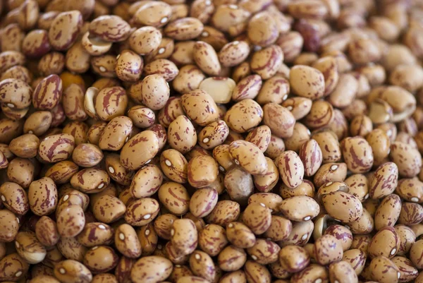 stock image Beans Bucket