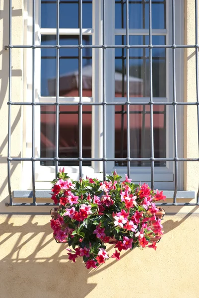 Цветы у окна, Тоскана — стоковое фото