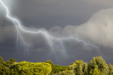 Thunderstorms approaching Corsica clipart