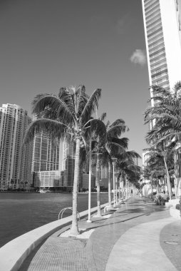 Miami beach kıyılarının Florida, ABD.