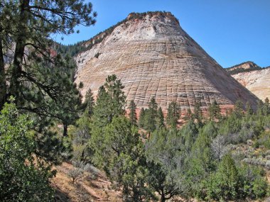 Zion national park manzaralı, Ağustos 2004