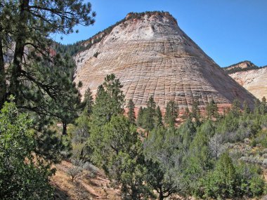 Zion National Park View, August 2004 clipart