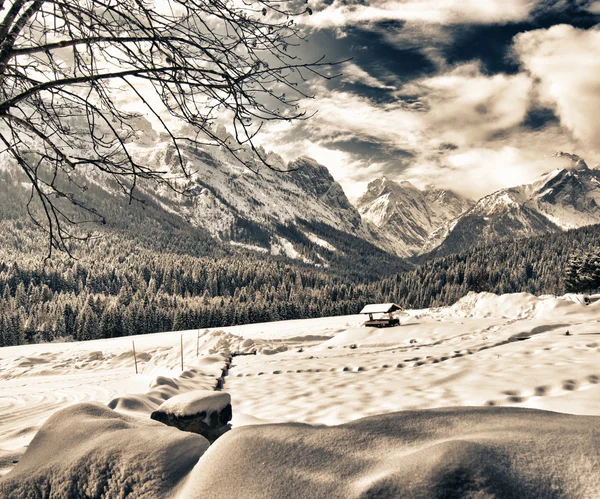 Besneeuwde Landschap Van Italiaanse Alpen Winter Italië — Stockfoto