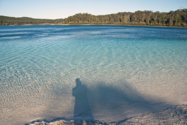 Fraser Island, Australia clipart