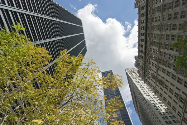 ニューヨーク市の建物 — ストック写真