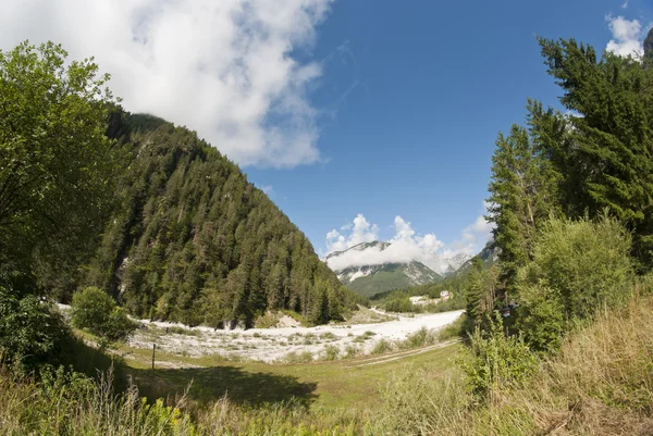Dolomites Woods, Italy — Stock Photo, Image