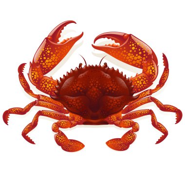 Crab vector clipart