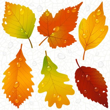 Autumn leaves and seamless vein background clipart