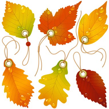 Autumnal discount. Vector fall leaves clipart