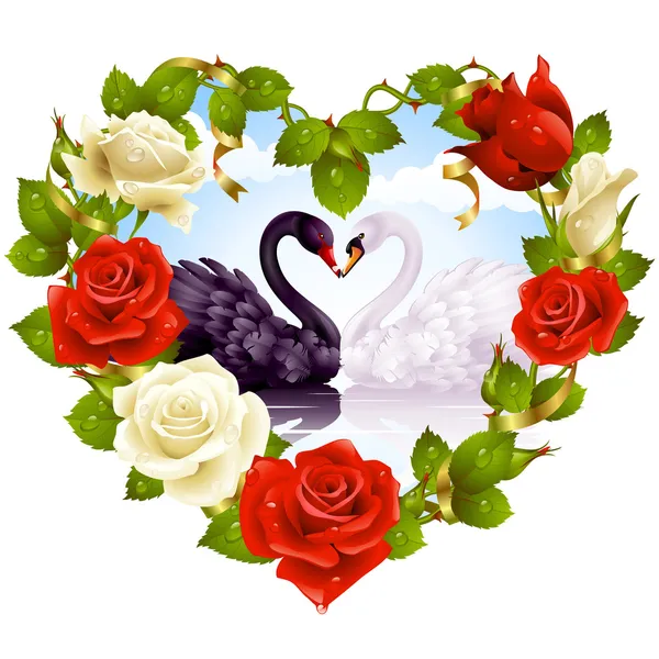 Rosas rojas y pareja de cisnes — Archivo Imágenes Vectoriales