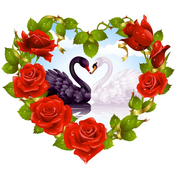 Rosas vermelhas e casal Cisnes — Vetor de Stock