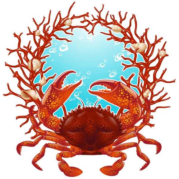 红蟹 — 图库矢量图片