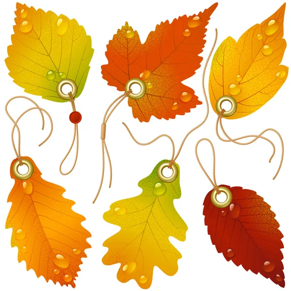 Autumnal discount. Vector fall leaves — Stock Vector