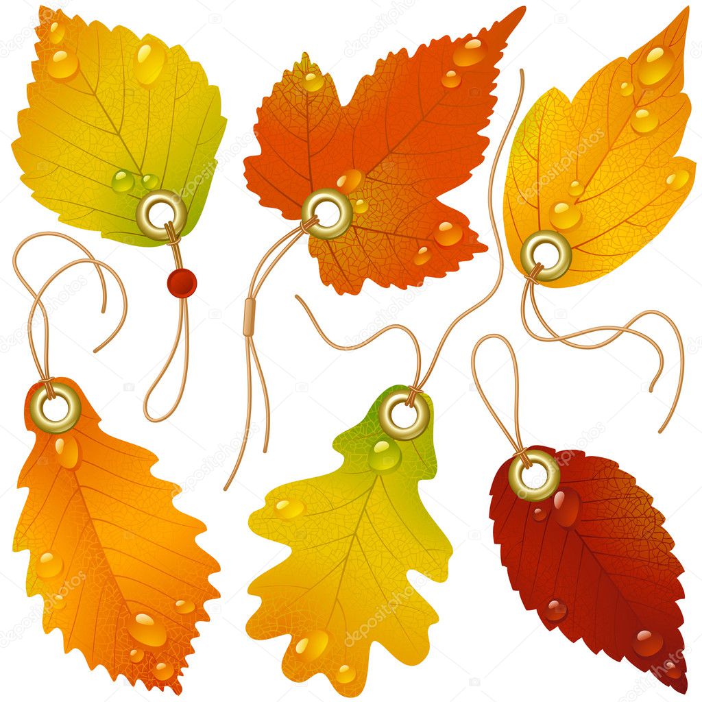 Autumnal discount. Vector fall leaves