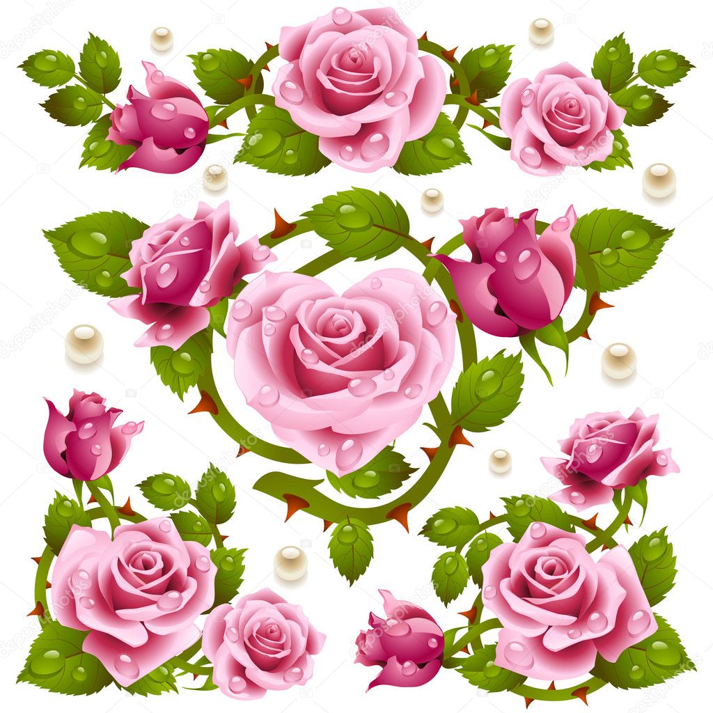 Rose design elements