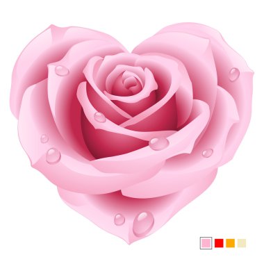 Vector pink rose in the shape of heart clipart