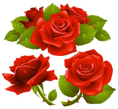 Red roses set clipart