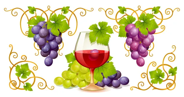 Grape elements, corners and wine glass — Stock Vector