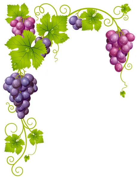 Vector grape frame 3 — Stock Vector