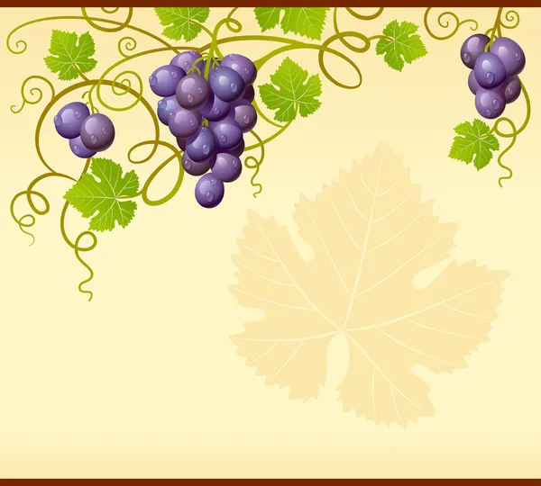 Rama wektor winogron — Wektor stockowy