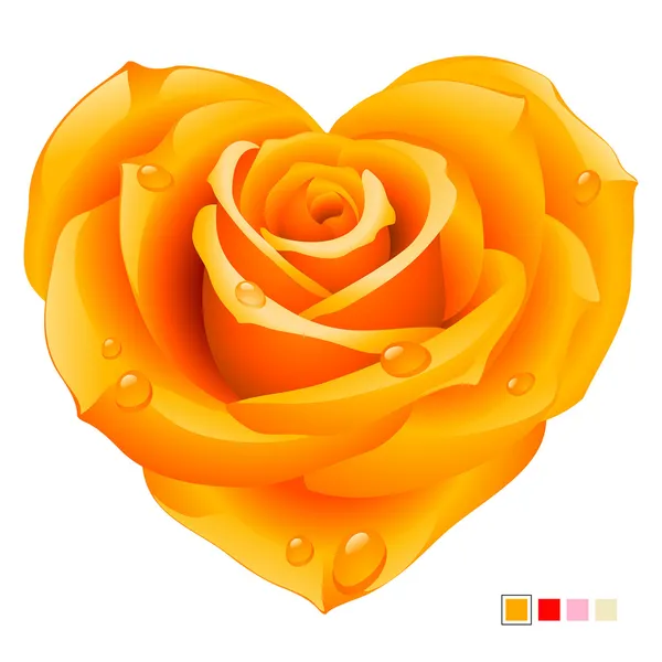Vector orange rose in the shape of heart — Stock Vector