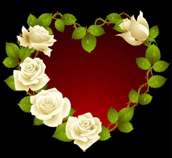 Kader van witte rozen in de vorm van hart — Stockvector