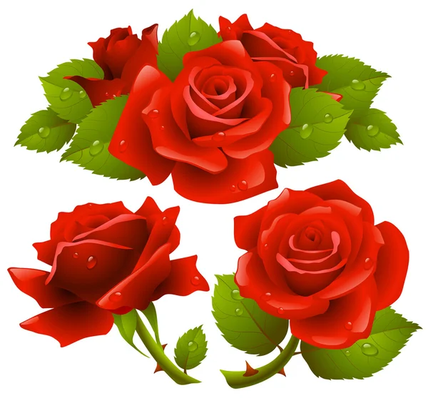 Σύνολο κόκκινα τριαντάφυλλα — Διανυσματικό Αρχείο