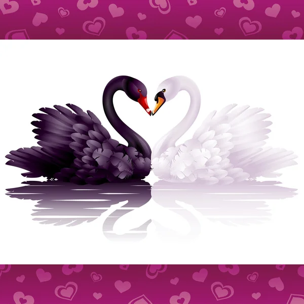 Deux cygnes gracieux amoureux : coeur noir et blanc — Image vectorielle