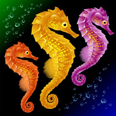 Vector Seahorses clipart