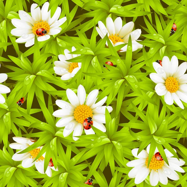 Διανυσματικά ομοιογενές φόντο: camomiles και ladybugs — Διανυσματικό Αρχείο