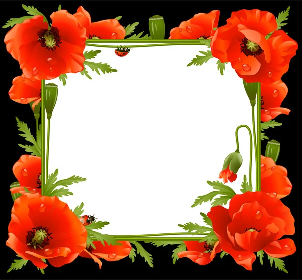 Παπαρούνας floral πλαίσιο — Διανυσματικό Αρχείο