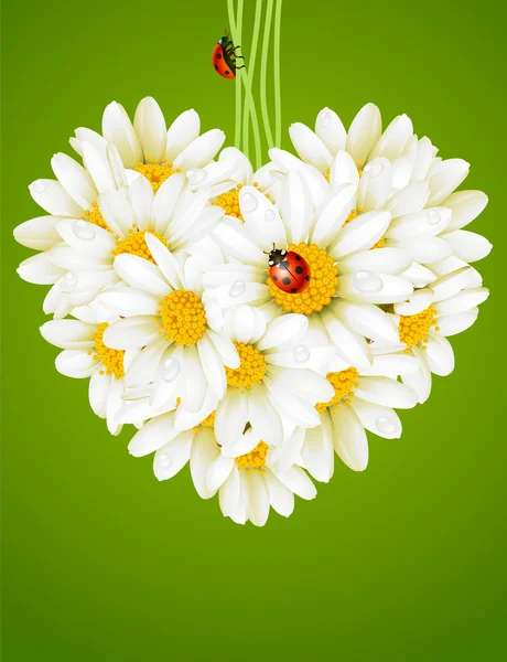 Carta d'amore floreale (cuore di camomilla ) — Vettoriale Stock
