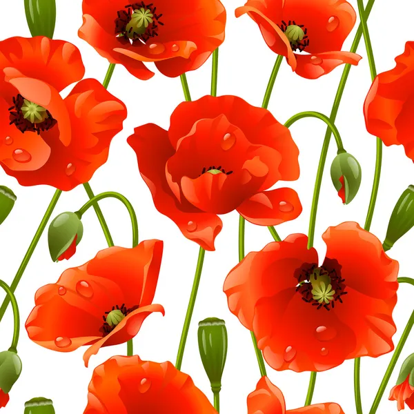 Seamless background: poppy — Stock Vector