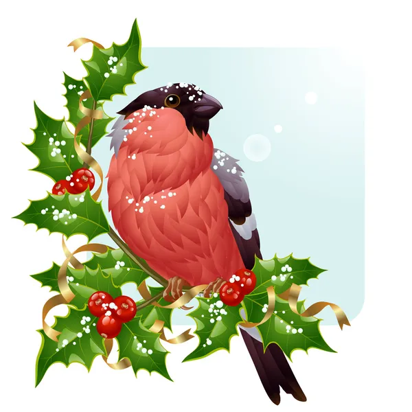 Christmas greeting card. Vector bullfinch and holly — Stock Vector