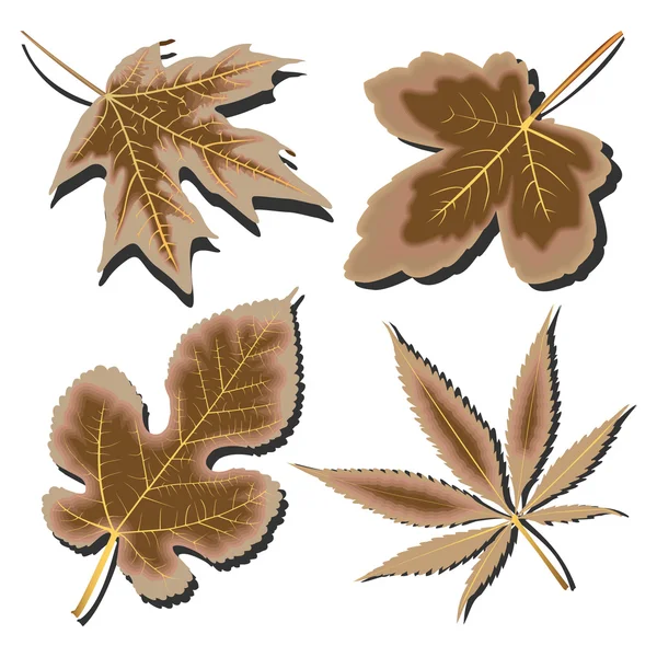 Сбор сухих листьев против белых — стоковый вектор